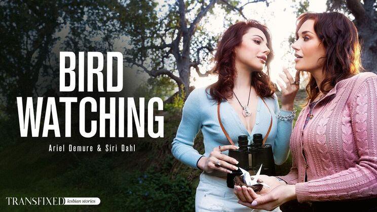 Transfixed – Siri Dahl – Ariel Demure – Bird Watching / 05.10.2023